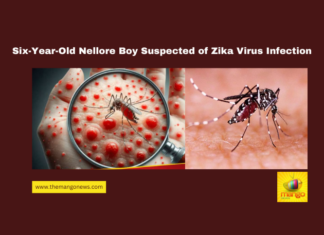 Six-Year-Old Nellore Boy Suspected of Zika Virus Infection, Zika virus, Nellore news, Andhra Pradesh health, Venkatapuram village, WHO alert, viral infection, medical camp, Chennai Egmore Hospital, Zika virus symptoms, Andhra Pradesh health department, Andhra Pradesh, AP Live Updates, Live Updates, Breaking News, Headlines, Live News, Mango News