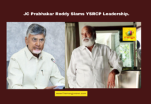JC Prabhakar Reddy Slams YSRCP Leadership, JC Prabhakar Reddy, TDP leader, Chandrababu Naidu arrest, YSRCP allegations, Perni Nani, political vendetta, Anantapur news, electricity charges hike, Andhra Pradesh politics, corruption allegations, TDP vs YSRCP, Andhra Pradesh, AP Live Updates, Live Updates, Breaking News, Headlines, Live News, Mango News