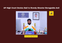 AP High Court Denies Bail to Rowdy Sheeter Borugadda Anil, Andhra Pradesh High Court, Borugadda Anil, Social Media Posts, Rowdy Sheeter, YSRCP Rule, Opposition Leaders, Criminal Record, Guntur, Online Abuse, AP Police, Andhra Pradesh, Reading Culture, Andhra Pradesh, AP Live Updates, Live Updates, Breaking News, Headlines, Live News, Mango News