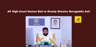 AP High Court Denies Bail to Rowdy Sheeter Borugadda Anil, Andhra Pradesh High Court, Borugadda Anil, Social Media Posts, Rowdy Sheeter, YSRCP Rule, Opposition Leaders, Criminal Record, Guntur, Online Abuse, AP Police, Andhra Pradesh, Reading Culture, Andhra Pradesh, AP Live Updates, Live Updates, Breaking News, Headlines, Live News, Mango News