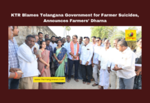 KTR Blames Telangana Government for Farmer Suicides, Announces Farmers’ Dharna, Telangana farmer suicides, KTR speech on farmers, Bharasa Rythu Study Committee, Telangana BJP farmers' protest, Telangana farmer support schemes, loan waiver issues Telangana, Adilabad farmer study, Nalgonda farmers’ dharna, KTR criticizes Congress, Telangana agricultural policies, Mango News