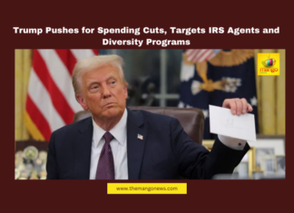 Trump policies, IRS agents, US government spending, diversity programs, DEI deactivation, federal hiring freeze, border security, trade tariffs, Trump administration reforms, US federal budget