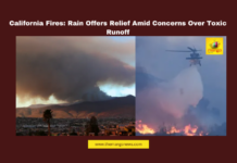 California fires, Los Angeles fires, Southern California rain, toxic ash runoff, environmental impact, fire relief, rain in California, Palisades fire, Eaton fire, wildfire aftermath