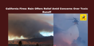 California fires, Los Angeles fires, Southern California rain, toxic ash runoff, environmental impact, fire relief, rain in California, Palisades fire, Eaton fire, wildfire aftermath