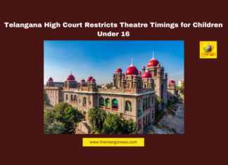 Telangana High Court, cinema restrictions, children under 16, movie timings, theatre guidelines, movie ticket prices, special shows, child welfare, cinema regulations, Telangana judiciary