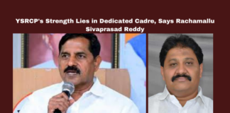 YSRCP, Rachamallu Sivaprasad Reddy, Jagan Mohan Reddy, Adinarayana Reddy, political resilience, loyal cadre, defections, TDP, PCC Chief Sharmila, Vijayasai Reddy, Andhra Pradesh politics