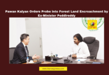 Pawan Kalyan Orders Probe into Forest Land Encroachment by Ex-Minister Peddireddy, Pawan Kalyan, Forest Land Encroachment, Peddireddy Ramachandra Reddy, Chittoor, Andhra Pradesh, Forest Department, Land Grabbing, Illegal Occupation, Government Inquiry, Environmental Protection, Chandrababu Naidu, Andhra Pradesh, AP Live Updates, AP Politics, Political News, Live Updates, Breaking News, Headlines, Live News, Mango News