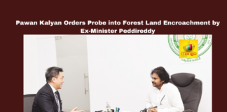 Pawan Kalyan Orders Probe into Forest Land Encroachment by Ex-Minister Peddireddy, Pawan Kalyan, Forest Land Encroachment, Peddireddy Ramachandra Reddy, Chittoor, Andhra Pradesh, Forest Department, Land Grabbing, Illegal Occupation, Government Inquiry, Environmental Protection, Chandrababu Naidu, Andhra Pradesh, AP Live Updates, AP Politics, Political News, Live Updates, Breaking News, Headlines, Live News, Mango News