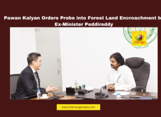 Pawan Kalyan Orders Probe into Forest Land Encroachment by Ex-Minister Peddireddy, Pawan Kalyan, Forest Land Encroachment, Peddireddy Ramachandra Reddy, Chittoor, Andhra Pradesh, Forest Department, Land Grabbing, Illegal Occupation, Government Inquiry, Environmental Protection, Chandrababu Naidu, Andhra Pradesh, AP Live Updates, AP Politics, Political News, Live Updates, Breaking News, Headlines, Live News, Mango News