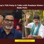 Tamil Nadu elections, Vijay TVK party, Prashant Kishor, Tamil Nadu politics, DMK, AIADMK, election strategy, Tamil Nadu assembly polls, political alliances, actor Vijay