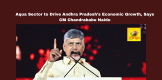 Andhra Pradesh, Chandrababu Naidu, aquaculture, aqua sector, organic farming, sustainable agriculture, technology in aquaculture, Artificial Intelligence, pollution control, economic growth, Aquatech-2.0, GFST, organic aqua products, Andhra Pradesh economy, farmers’ welfare.