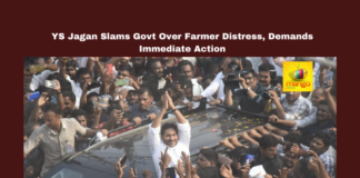 YS Jagan, Chandrababu Naidu, Farmers Crisis, Andhra Pradesh, Mirchi Yard, MSP, Tenant Farmers, Agriculture Policy, Crop Prices, YSRCP, TDP Government