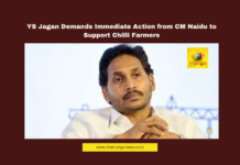 YS Jagan Demands Immediate Action from CM Naidu to Support Chilli Farmers, YS Jagan, Chilli Farmers, Chandrababu Naidu, Andhra Pradesh, Chilli Prices, MSP, NAFED, Markfed, Rythu Bharosa Kendras, Agriculture Policy, Farmers' Welfare, Andhra Pradesh, AP Live Updates, AP Politics, Political News, Live Updates, Breaking News, Headlines, Live News, Mango News