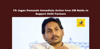 YS Jagan Demands Immediate Action from CM Naidu to Support Chilli Farmers, YS Jagan, Chilli Farmers, Chandrababu Naidu, Andhra Pradesh, Chilli Prices, MSP, NAFED, Markfed, Rythu Bharosa Kendras, Agriculture Policy, Farmers' Welfare, Andhra Pradesh, AP Live Updates, AP Politics, Political News, Live Updates, Breaking News, Headlines, Live News, Mango News