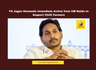 YS Jagan Demands Immediate Action from CM Naidu to Support Chilli Farmers, YS Jagan, Chilli Farmers, Chandrababu Naidu, Andhra Pradesh, Chilli Prices, MSP, NAFED, Markfed, Rythu Bharosa Kendras, Agriculture Policy, Farmers' Welfare, Andhra Pradesh, AP Live Updates, AP Politics, Political News, Live Updates, Breaking News, Headlines, Live News, Mango News