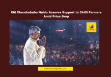 CM Chandrababu Naidu Assures Support to Chilli Farmers Amid Price Drop, Chilli Farmers, Chandrababu Naidu, Chilli Prices, Polavaram Project, Jal Jeevan Mission, Union Government, Agriculture Support, Water Resources, NDA Government, Andhra Pradesh, AP Live Updates, AP Politics, Political News, Live Updates, Breaking News, Headlines, Live News, Mango News