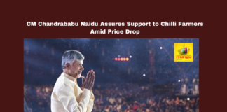 CM Chandrababu Naidu Assures Support to Chilli Farmers Amid Price Drop, Chilli Farmers, Chandrababu Naidu, Chilli Prices, Polavaram Project, Jal Jeevan Mission, Union Government, Agriculture Support, Water Resources, NDA Government, Andhra Pradesh, AP Live Updates, AP Politics, Political News, Live Updates, Breaking News, Headlines, Live News, Mango News