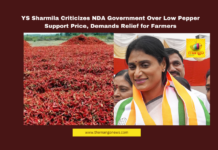 YS Sharmila Criticizes NDA Government Over Low Pepper Support Price, Demands Relief for Farmers, YS Sharmila, APCC, NDA government, pepper support price, farmer distress, price stabilization fund, Andhra Pradesh farmers, agricultural crisis, tenant farmers, tomato prices, farmer protests, agricultural support, Amaravati news, Andhra Pradesh, AP Live Updates, AP Politics, Political News, Live Updates, Breaking News, Headlines, Live News, Mango News