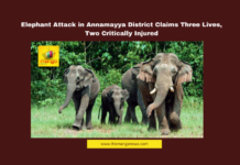 Elephant Attack in Annamayya District Claims Three Lives, Two Critically Injured, Elephants Attack, Annamayya District, Maha Shivratri Tragedy, Obulavaripalle, Pawan Kalyan, Chandrababu Naidu, Forest Department, Compensation Announcement, Andhra Pradesh News, Wildlife Safety, Andhra Pradesh, AP Live Updates, AP Politics, Political News, Live Updates, Breaking News, Headlines, Live News, Mango News