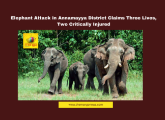 Elephant Attack in Annamayya District Claims Three Lives, Two Critically Injured Elephant Attack in Annamayya District Claims Three Lives, Two Critically Injured, Elephants Attack, Annamayya District, Maha Shivratri Tragedy, Obulavaripalle, Pawan Kalyan, Chandrababu Naidu, Forest Department, Compensation Announcement, Andhra Pradesh News, Wildlife Safety, Andhra Pradesh, AP Live Updates, AP Politics, Political News, Live Updates, Breaking News, Headlines, Live News, Mango News