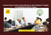 Pawan Kalyan Orders Safety Measures After Elephant Tragedy at Gundalakona Shiva Temple, Pawan Kalyan, Gundalakona, Annamayya district, Elephant Attack, Maha Shivratri, Forest Safety, Devotee Protection, Wildlife Conservation, Early Warning Systems, AI Tracking, Andhra Pradesh, AP Live Updates, AP Politics, Political News, Live Updates, Breaking News, Headlines, Live News, Mango News