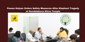 Pawan Kalyan Orders Safety Measures After Elephant Tragedy at Gundalakona Shiva Temple, Pawan Kalyan, Gundalakona, Annamayya district, Elephant Attack, Maha Shivratri, Forest Safety, Devotee Protection, Wildlife Conservation, Early Warning Systems, AI Tracking, Andhra Pradesh, AP Live Updates, AP Politics, Political News, Live Updates, Breaking News, Headlines, Live News, Mango News