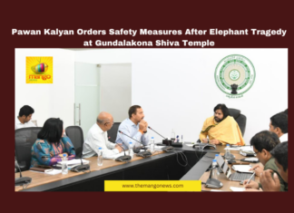 Pawan Kalyan Orders Safety Measures After Elephant Tragedy at Gundalakona Shiva Temple Pawan Kalyan Orders Safety Measures After Elephant Tragedy at Gundalakona Shiva Temple, Pawan Kalyan, Gundalakona, Annamayya district, Elephant Attack, Maha Shivratri, Forest Safety, Devotee Protection, Wildlife Conservation, Early Warning Systems, AI Tracking, Andhra Pradesh, AP Live Updates, AP Politics, Political News, Live Updates, Breaking News, Headlines, Live News, Mango News