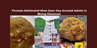 Tirumala Adulterated Ghee Case: Key Accused Admits to Mixing Chemicals, Tirumala Ghee Scam, Srivari Laddu Prasadam, TTD Ghee Adulteration, SIT Investigation, Tirupati Legal News, Bholebaba Organic Dairy, Andhra Pradesh Crime News, Adulterated Ghee Case, Tirupati Court Proceedings, TTD Food Safety, Andhra Pradesh, AP Live Updates, AP Politics, Political News, Live Updates, Breaking News, Headlines, Live News, Mango News