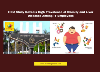HCU Study Reveals High Prevalence of Obesity and Liver Diseases Among IT Employees, IT employees health, Hyderabad IT sector, obesity in IT employees, fatty liver disease, workplace stress, metabolic disorders, sedentary lifestyle, corporate health issues, Hyderabad research study, HCU medical research, Hyderabad, Hyderabad Live Updates, Latest Hyderabad News, Telangana, TS Politics, TS Live Updates, Political News, Mango News