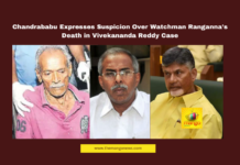 Chandrababu Naidu, Y.S. Vivekananda Reddy, Watchman Ranganna Death, AP Cabinet Meeting, Suspicious Deaths, Political Murders, CBI Investigation, Jagan Mohan Reddy, Andhra Pradesh Politics, Witness Protection