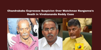 Chandrababu Naidu, Y.S. Vivekananda Reddy, Watchman Ranganna Death, AP Cabinet Meeting, Suspicious Deaths, Political Murders, CBI Investigation, Jagan Mohan Reddy, Andhra Pradesh Politics, Witness Protection