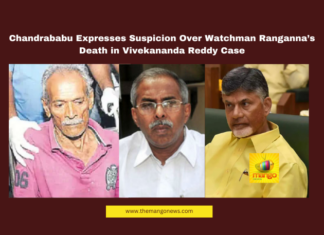 Chandrababu Naidu, Y.S. Vivekananda Reddy, Watchman Ranganna Death, AP Cabinet Meeting, Suspicious Deaths, Political Murders, CBI Investigation, Jagan Mohan Reddy, Andhra Pradesh Politics, Witness Protection