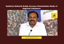 Chandrababu Naidu criticism, Rayalaseema irrigation projects, Andhra Pradesh politics, YS Jagan Mohan Reddy governance, YSR legacy, Andhra Pradesh regional imbalance, High Court Rayalaseema, Chandrababu Naidu Delhi visit, Andhra Pradesh irrigation issues, political allegations AP