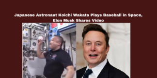 Japanese Astronaut Koichi Wakata Plays Baseball in Space, Elon Musk Shares Video,Butch Wilmore, Elon Musk, ISS Baseball, JAXA Astronaut, Koichi Wakata, Major League Baseball, Space Baseball, SpaceX, Sunita Williams, Zero Gravity Sports,Mango News,Japanese Astronaut Koichi Wakata,Astronaut Koichi Wakata,Japanese,Baseball in Space,Elon Musk,Space X,Japanese Astronaut Plays Solo Baseball In Space,Astronaut Koichi Wakata Plays Solo Baseball In Space,Astronaut Koichi Wakata Plays Solo Baseball In Space,Astronaut Koichi Wakata Plays Baseball in Space