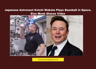 Japanese Astronaut Koichi Wakata Plays Baseball in Space, Elon Musk Shares Video,Butch Wilmore, Elon Musk, ISS Baseball, JAXA Astronaut, Koichi Wakata, Major League Baseball, Space Baseball, SpaceX, Sunita Williams, Zero Gravity Sports,Mango News,Japanese Astronaut Koichi Wakata,Astronaut Koichi Wakata,Japanese,Baseball in Space,Elon Musk,Space X,Japanese Astronaut Plays Solo Baseball In Space,Astronaut Koichi Wakata Plays Solo Baseball In Space,Astronaut Koichi Wakata Plays Solo Baseball In Space,Astronaut Koichi Wakata Plays Baseball in Space