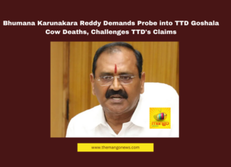 TTD Goshala, Bhumana Karunakara Reddy, Cow Deaths Controversy, Tirumala Temple, Animal Welfare, TTD EO Shyamala Rao, BR Naidu, YSRCP, Dalita Govindam, Desi Cow Protection