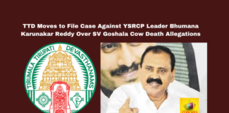 TTD News, SV Goshala Controversy, Bhumana Karunakar Reddy, Cow Death Allegations, Tirumala Updates, YSRCP vs TTD, TTD Legal Action, Devotee Sentiments, Vigilance Probe TTD, Andhra Pradesh Politics