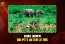 Green groups Bill puts wildlife at risk