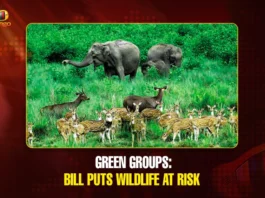 Green groups Bill puts wildlife at risk