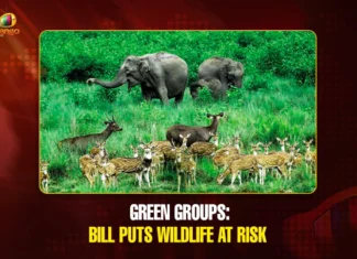 Green groups Bill puts wildlife at risk