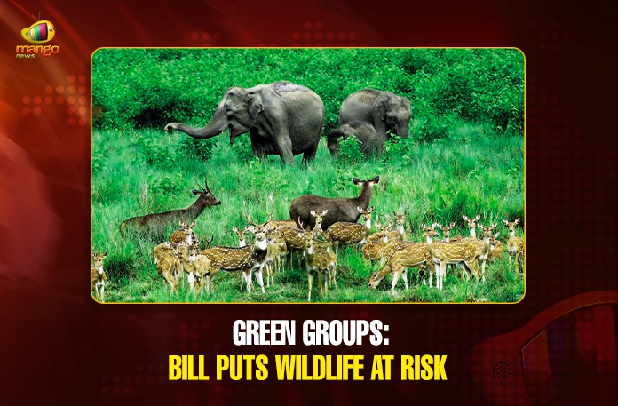 Green groups Bill puts wildlife at risk Green groups Bill puts wildlife at risk