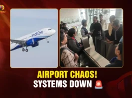 Airport Chaos! Systems Down 🚨