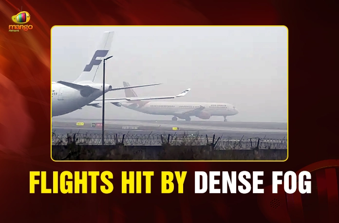 Flights Hit by Dense Fog Flights Hit by Dense Fog