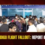 Mango News Portal copy (2)