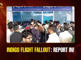 Mango News Portal copy (2)