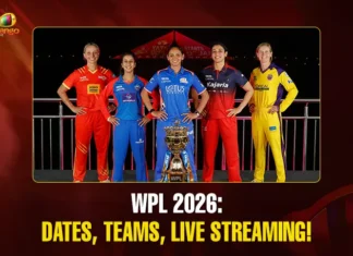 Mango News Portal copy (4)