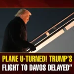 Mango News Portal copy (5)