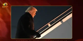 Mango News Portal copy (5)