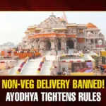 Mango News Portal copy.webp1 (2)