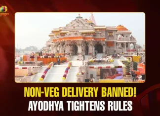 Mango News Portal copy.webp1 (2)